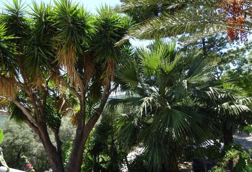 فندق Studio Ristas 2