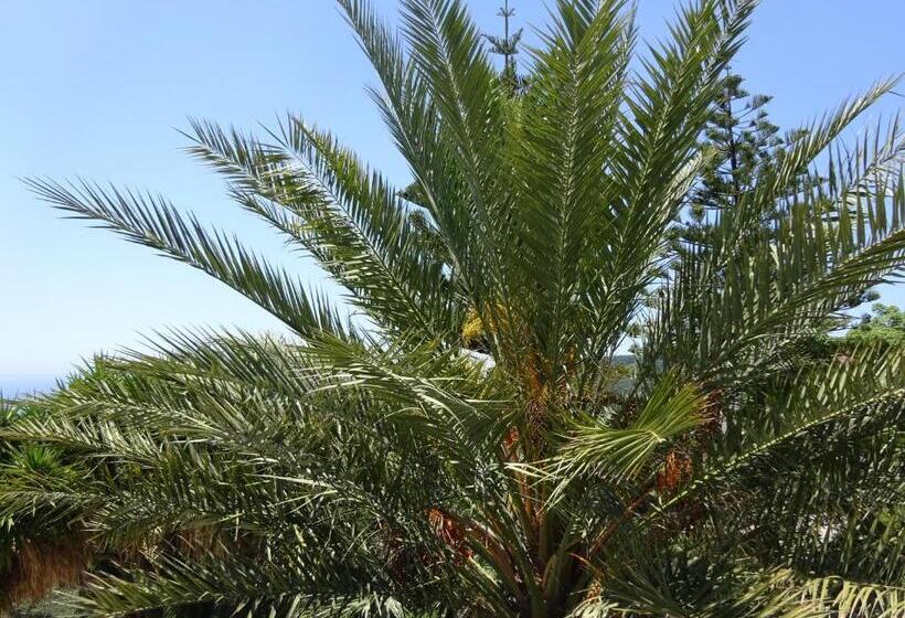 فندق Studio Ristas 2