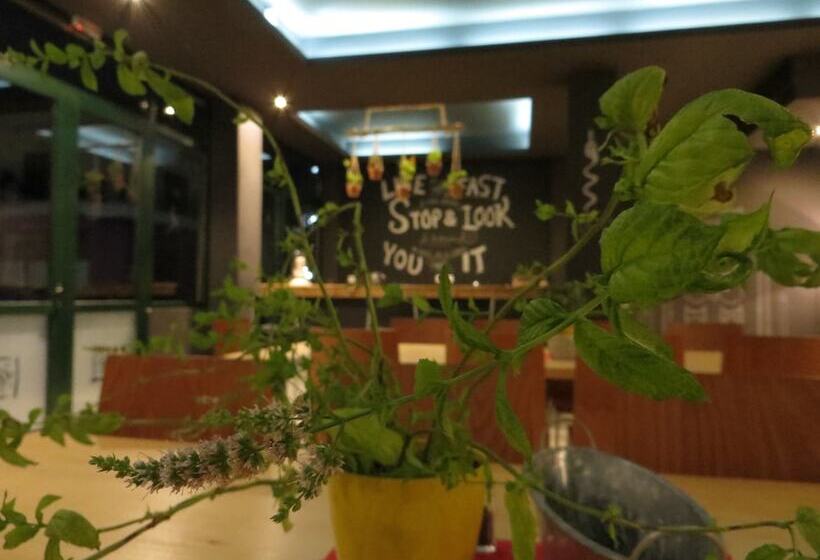 Leonidaion Guesthouse