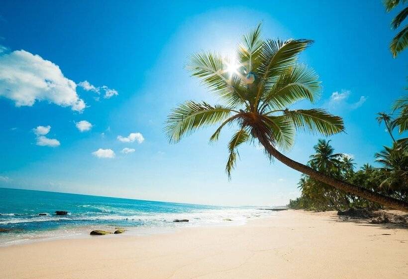 Palm Residence Deluxe Studios