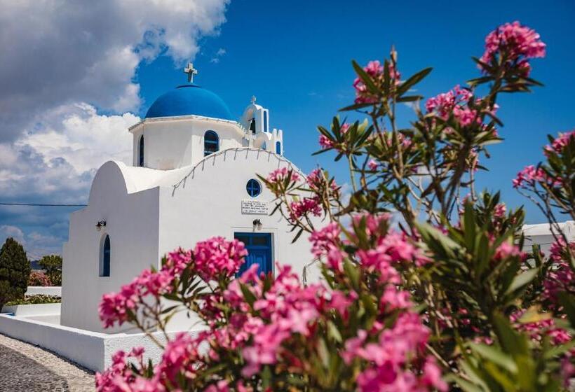 Vineyard Exclusive Suites