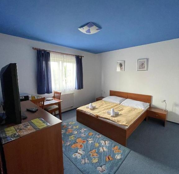 酒店 Apartmány, Penzion, Wellness U Zlaté Rybky