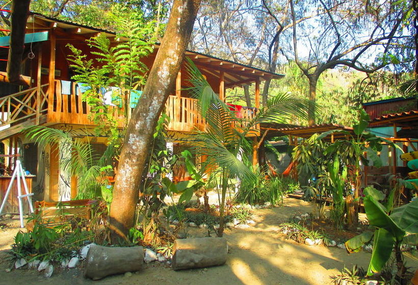 Общежитие Casa Del Mar Surf Destiny