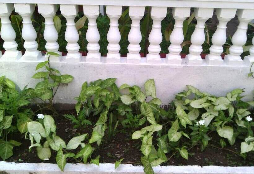 Bed and Breakfast Nathan S Holiday Home