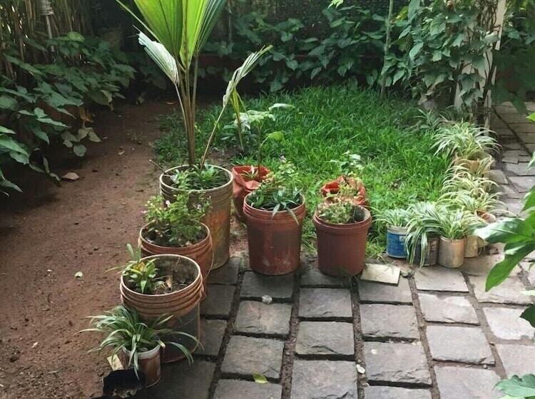 Bed and Breakfast Nathan S Holiday Home