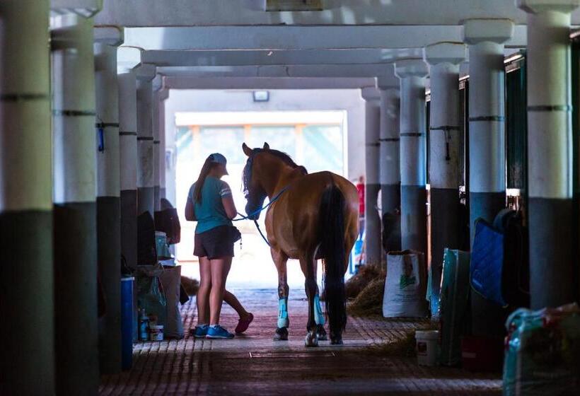 Equitana Hotel Resort