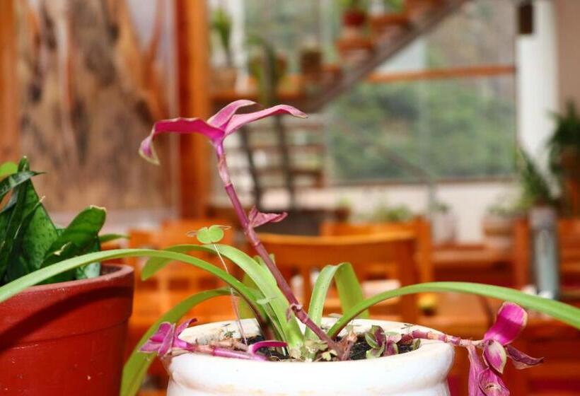 Fenix Hotel Machupicchu