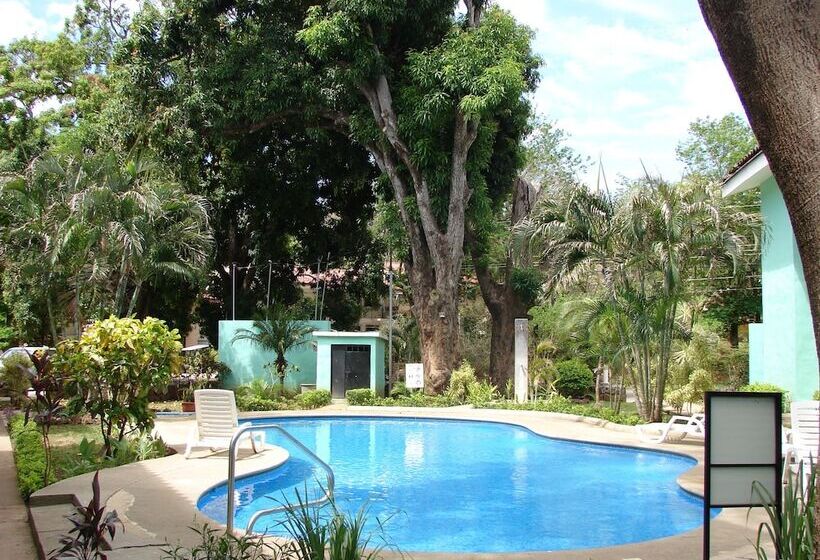 Green Forest Of Coco Beach Studios