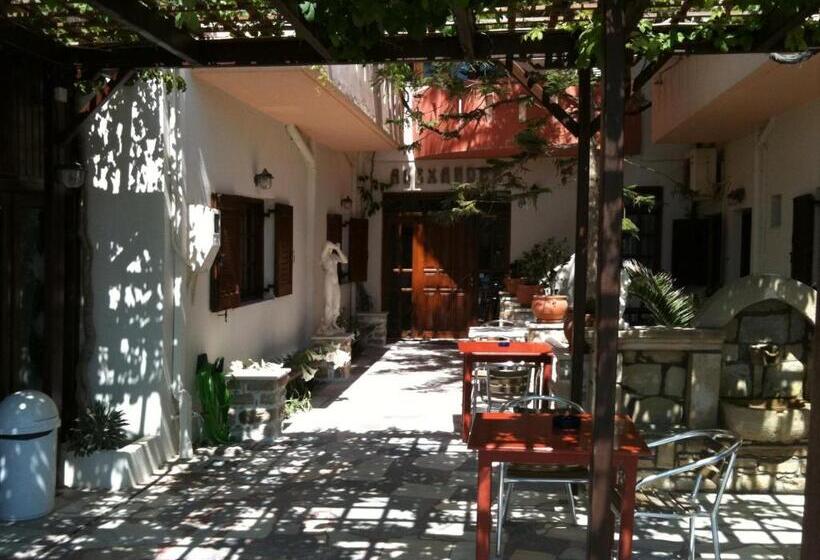 فندق Alexander Beach