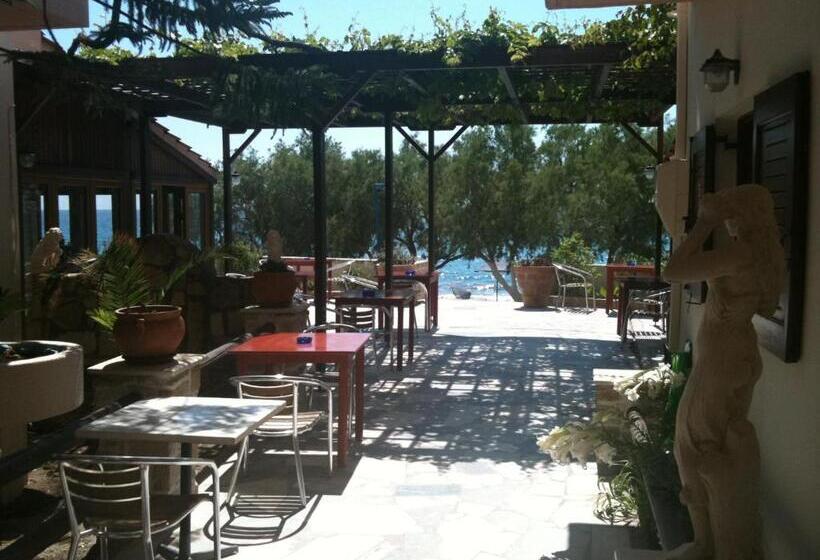 فندق Alexander Beach