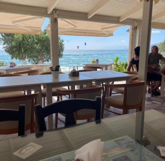 فندق Alexander Beach