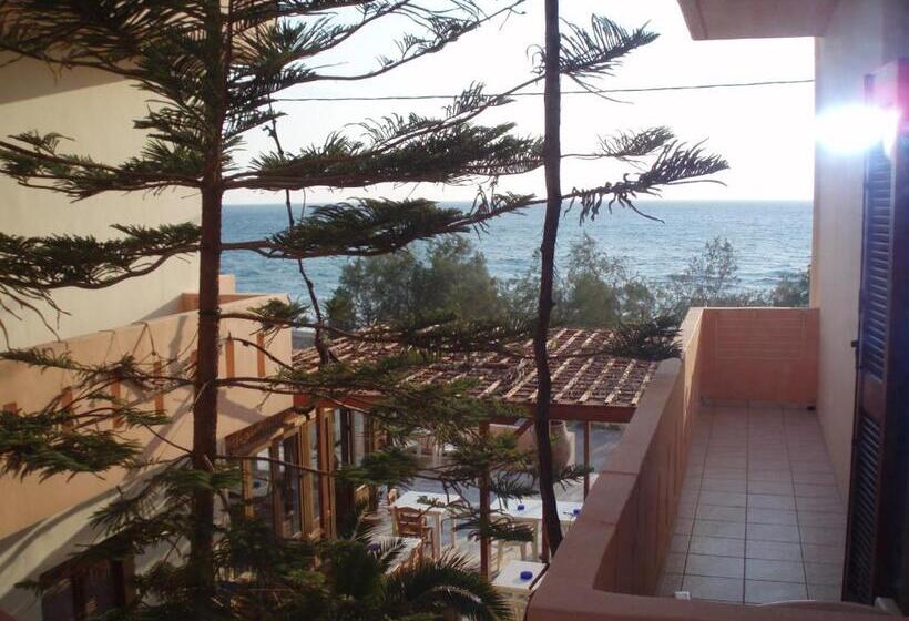 فندق Alexander Beach