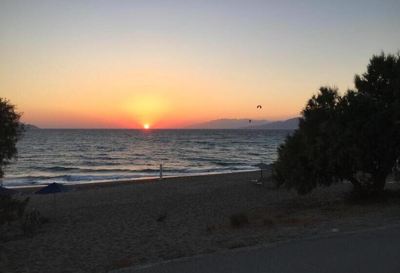 فندق Alexander Beach