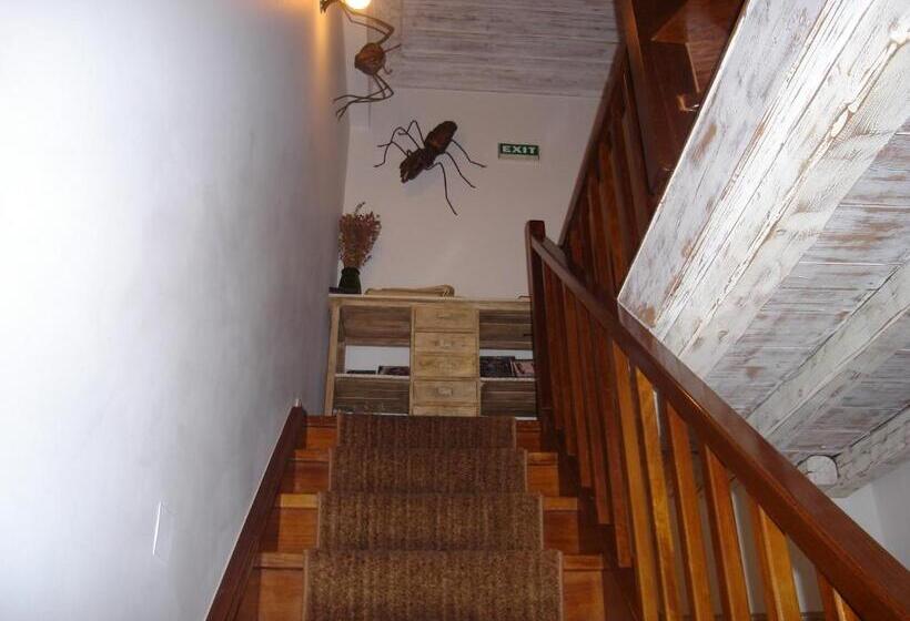 فندق Amymone And Adiandi