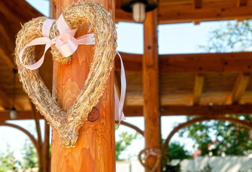 בית מלון כפרי Babiččina Zahrada Penzion & Restaurant