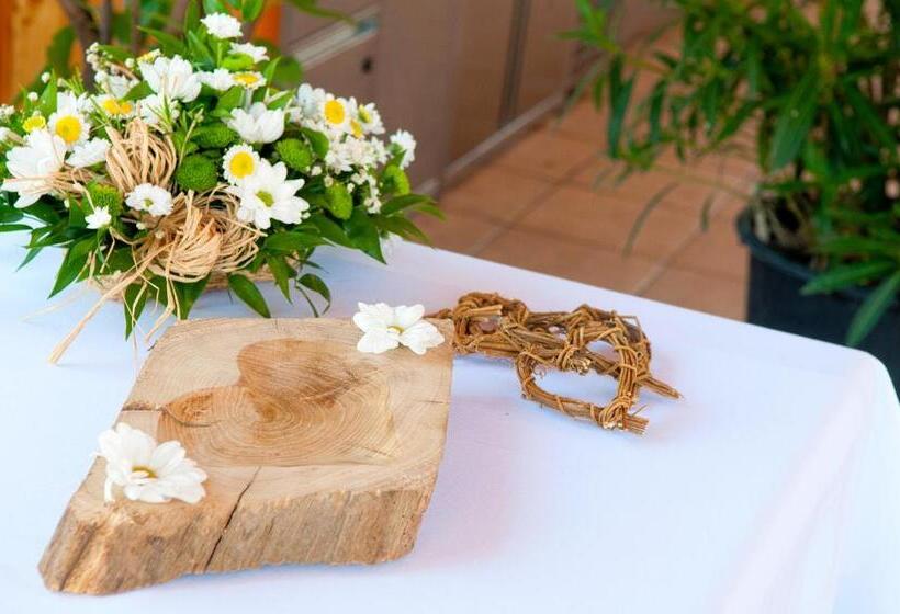 בית מלון כפרי Babiččina Zahrada Penzion & Restaurant