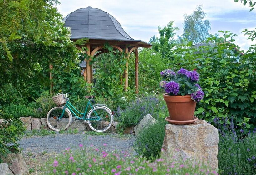 בית מלון כפרי Babiččina Zahrada Penzion & Restaurant