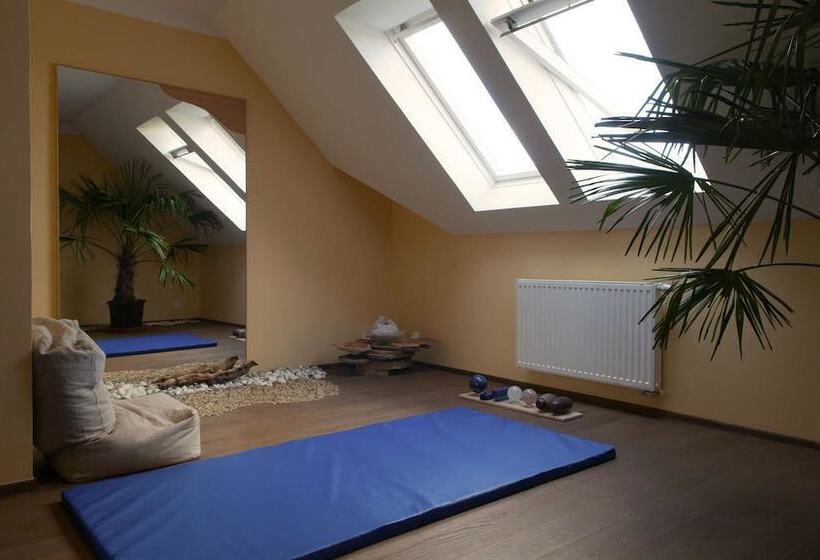 בית מלון כפרי Babiččina Zahrada Penzion & Restaurant