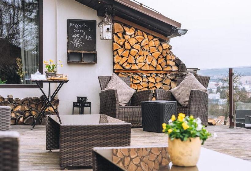 בית מלון כפרי Boutique Penzion Rech