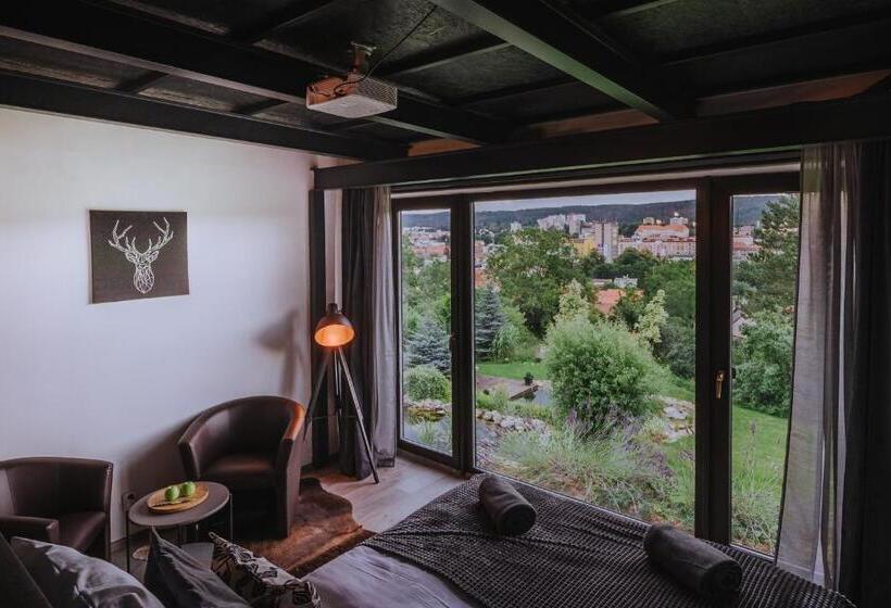 בית מלון כפרי Boutique Penzion Rech