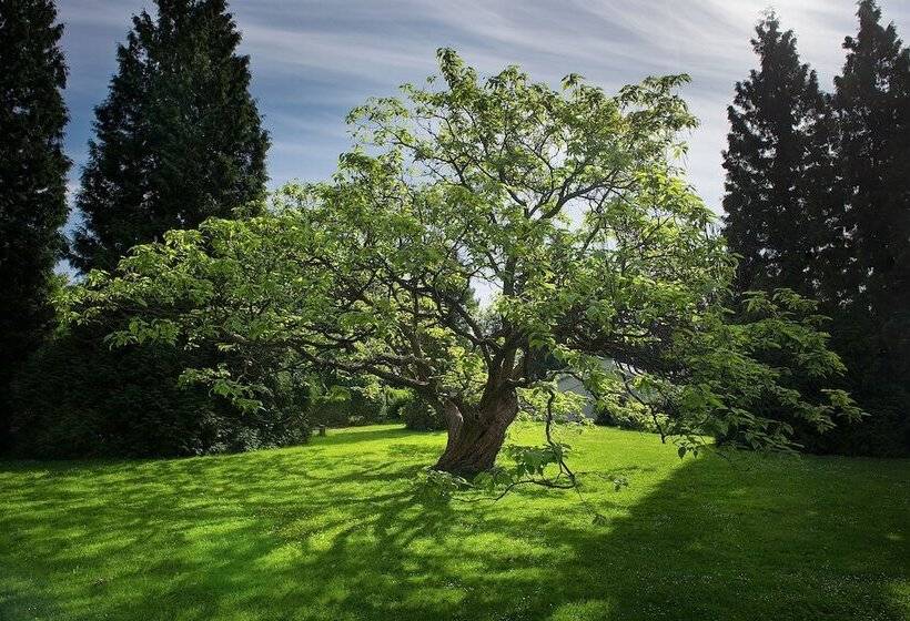 酒店 Chateau Loucen Garden Retreat