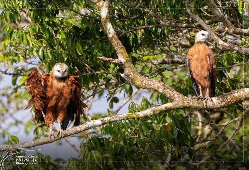 בית מלון כפרי De Campo Caño Negro