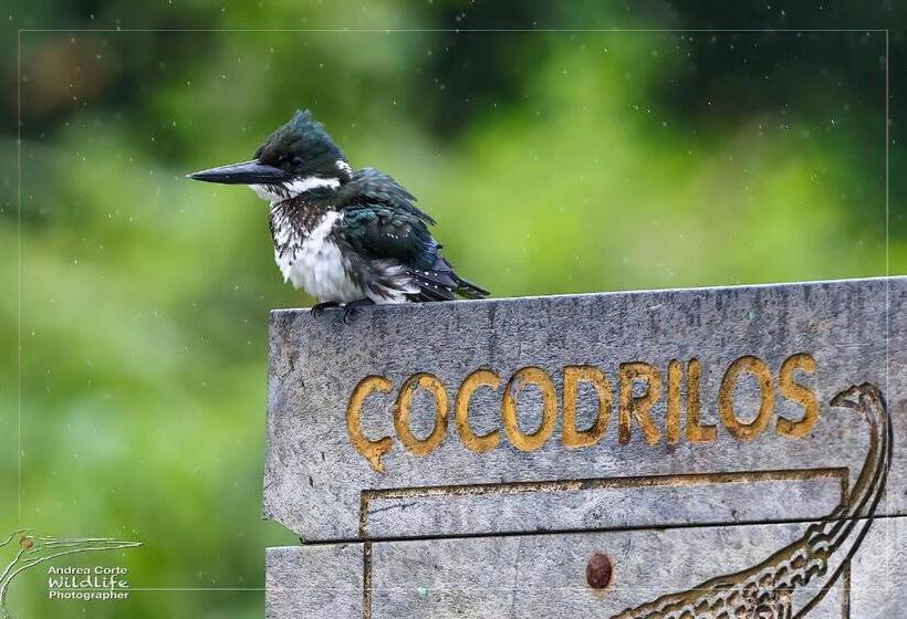 فندق De Campo Caño Negro