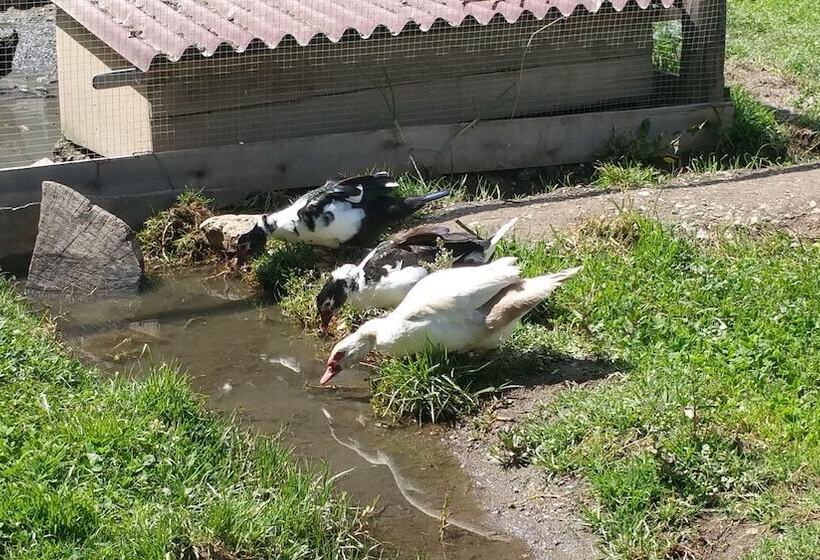 Отель El Albergue Ollantaytambo