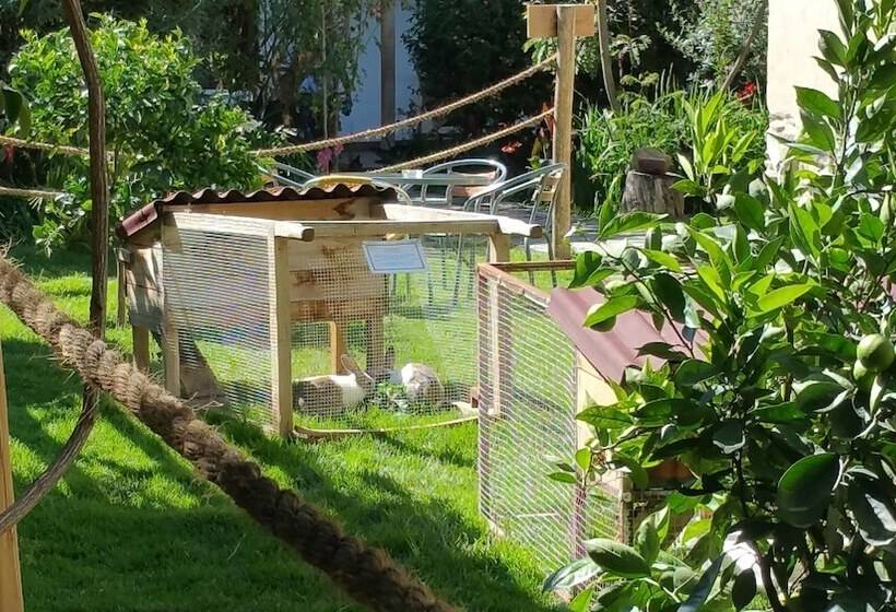 Отель El Albergue Ollantaytambo