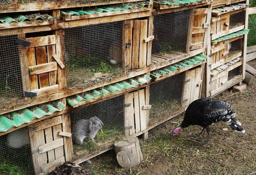 Отель El Albergue Ollantaytambo