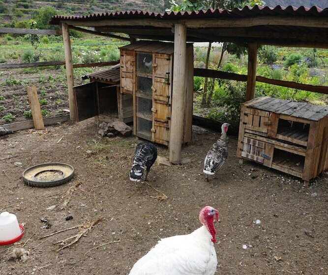 Отель El Albergue Ollantaytambo