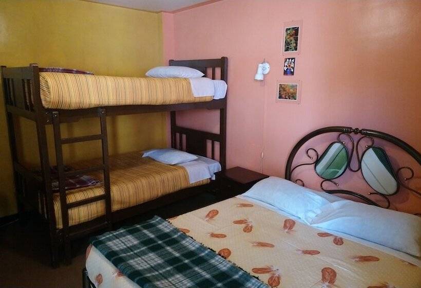 Отель El Manzano Hostel