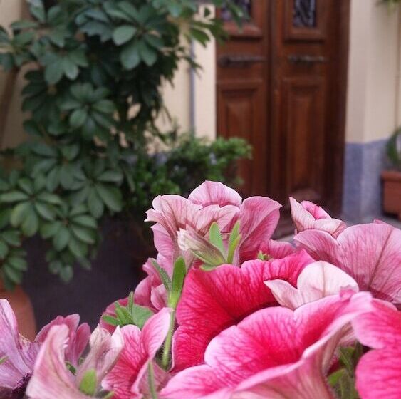 ホテル Filyra Pension