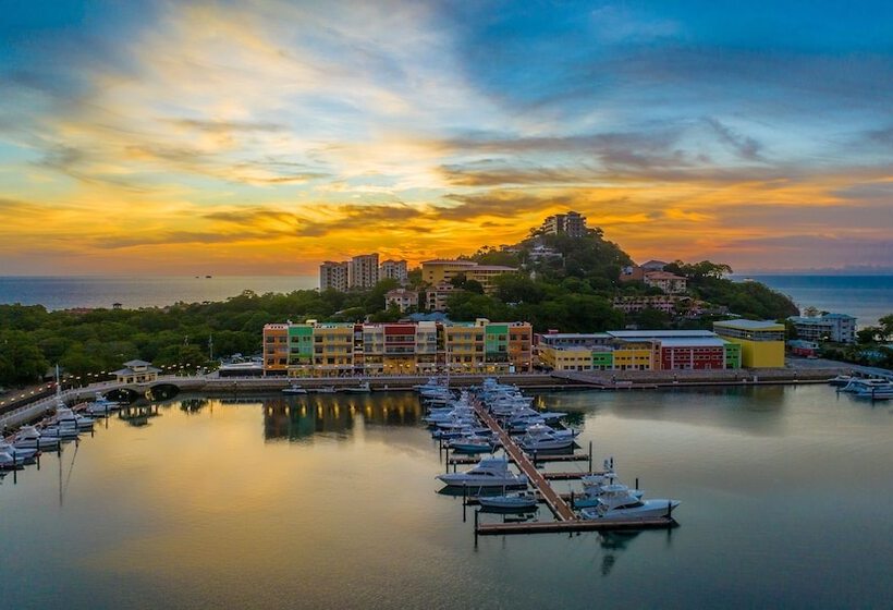 호텔 Flamingo Marina