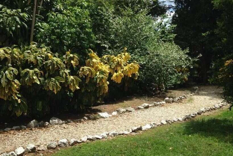 فندق Flor De Itabo