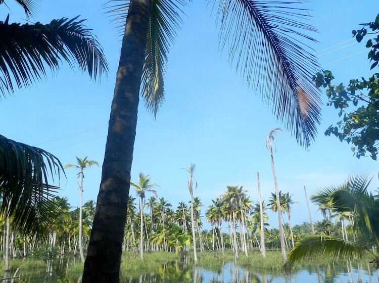 Отель Havelia Island Resort