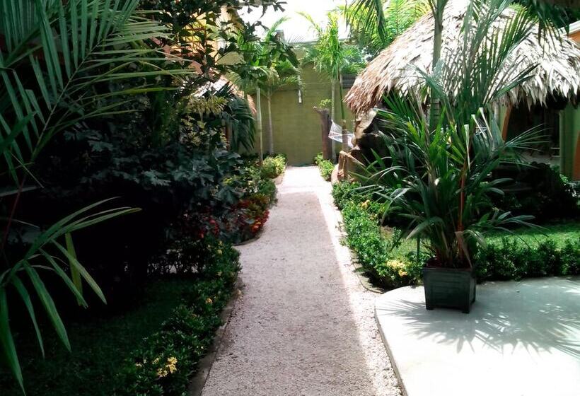 فندق Hostel Backpackers La Fortuna