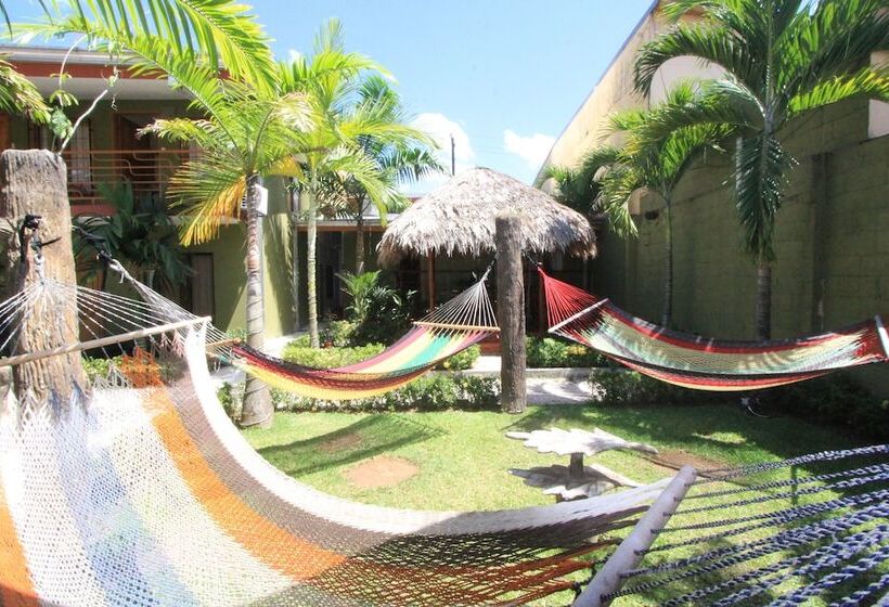 فندق Hostel Backpackers La Fortuna