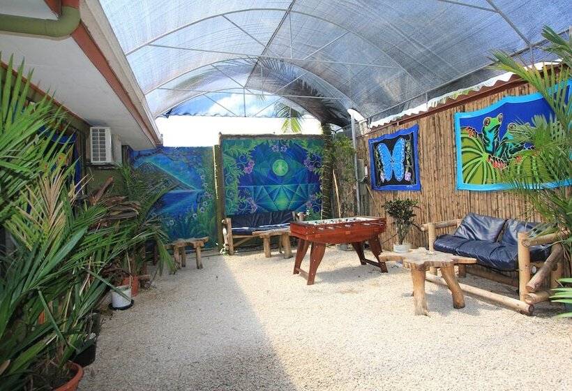 فندق Hostel Backpackers La Fortuna