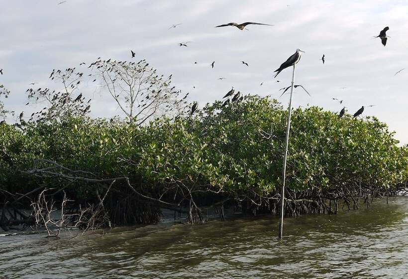 هتل Ier Arte Y Cocina