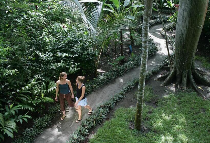 هتل Iguana Lodge Beach Resort