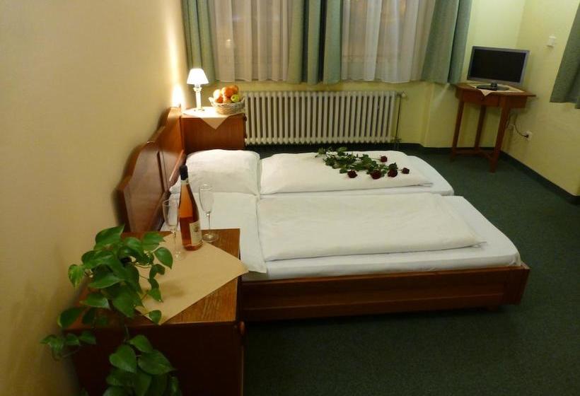 酒店 Korunní Princ