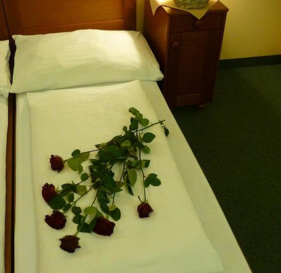 酒店 Korunní Princ