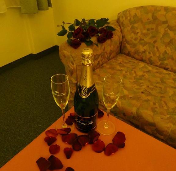 酒店 Korunní Princ