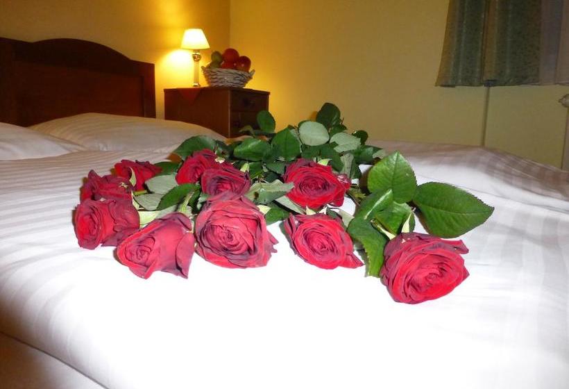 酒店 Korunní Princ