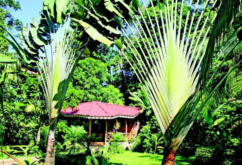 Отель La Costa De Papito