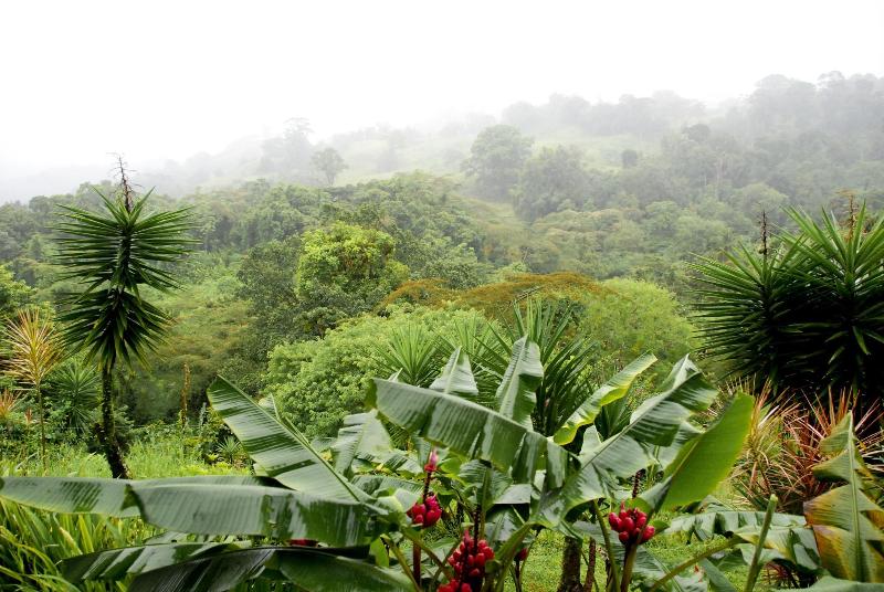 فندق La Mansion Inn Arenal