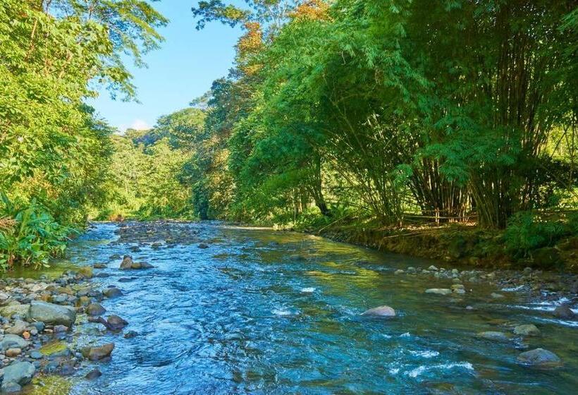 בית מלון כפרי Manoas