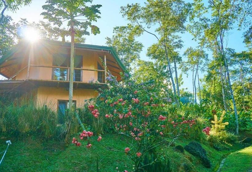 בית מלון כפרי Manoas