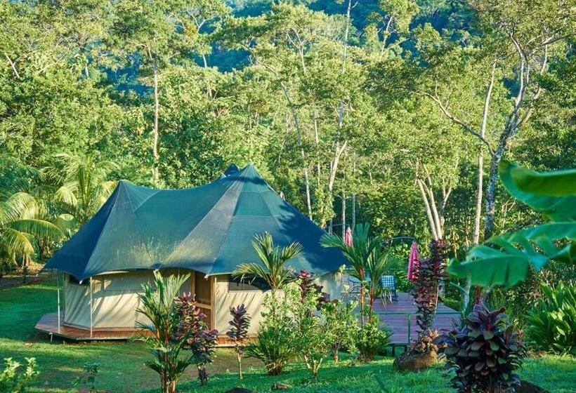 בית מלון כפרי Manoas